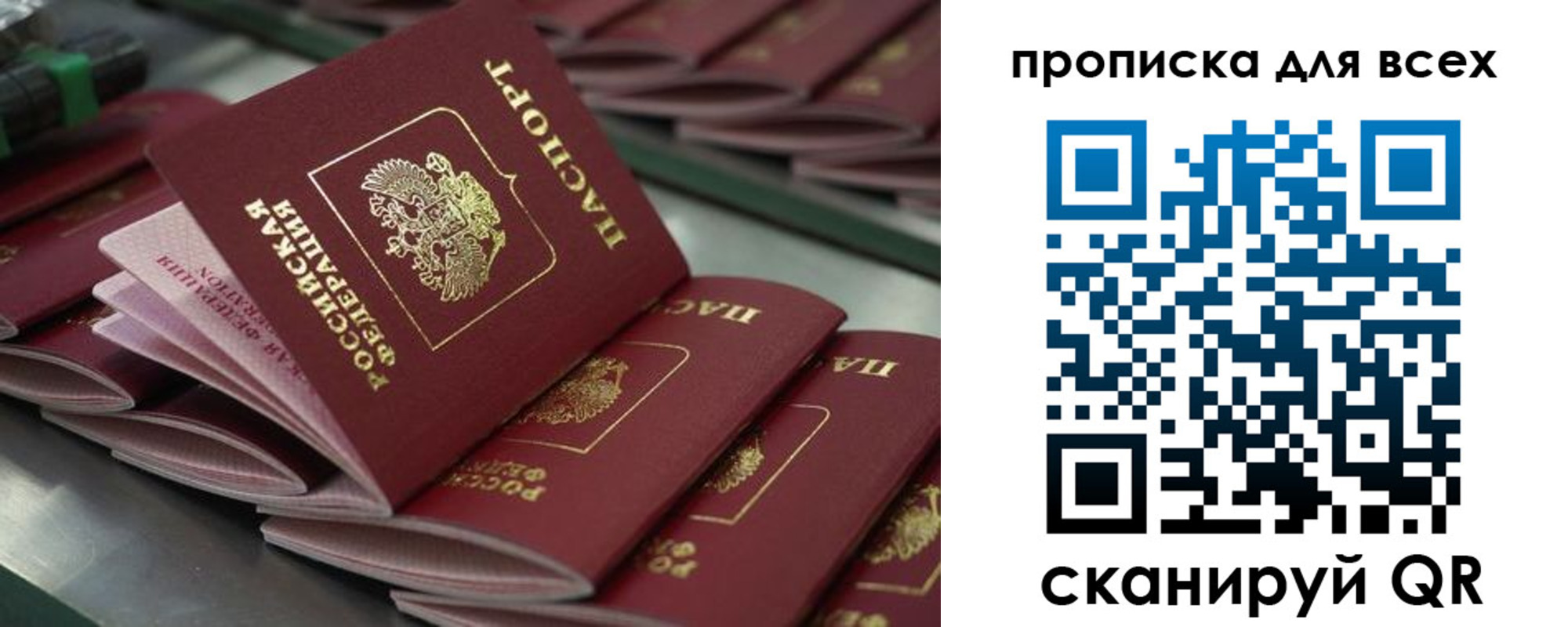 найти адрес прописки в Клинцах